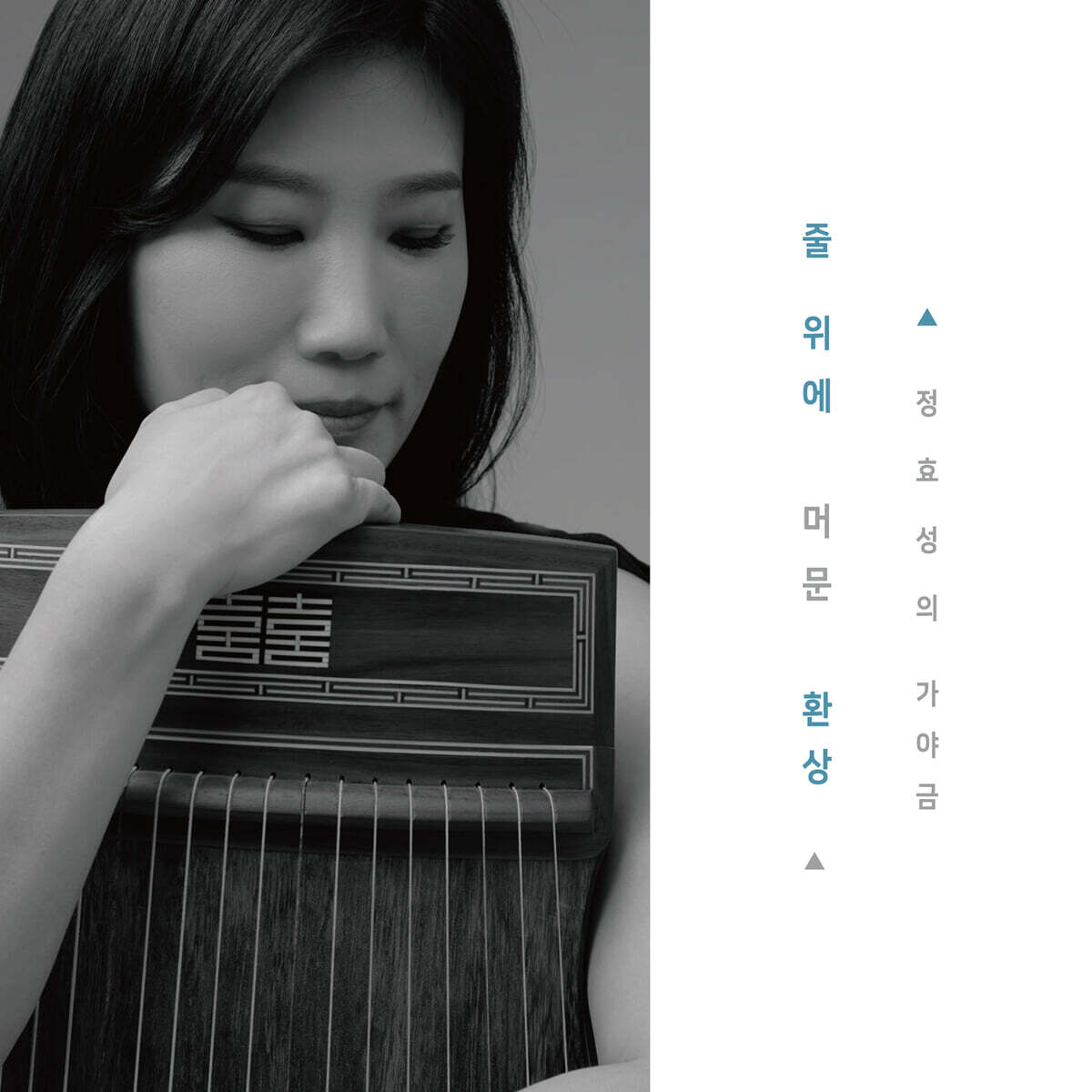 정효성 - 줄 위에 머문 환상 : 정효성의 가야금