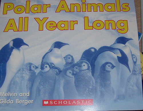 Polar Animals All Year Long (Time to Discover Scholastic Readers)