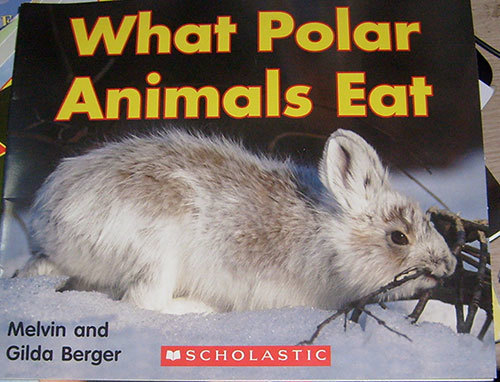 WHAT POLAR ANIMALS EAT [Time-to-Discover]