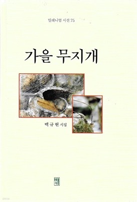 가을 무지개 : 백규현 시집 (양장)