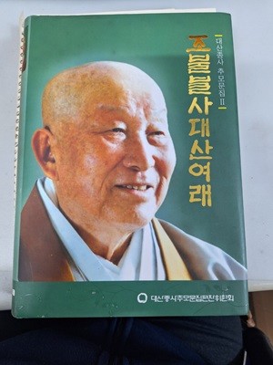 조불불사 대산여래 - 대산종사 추모문집 2 