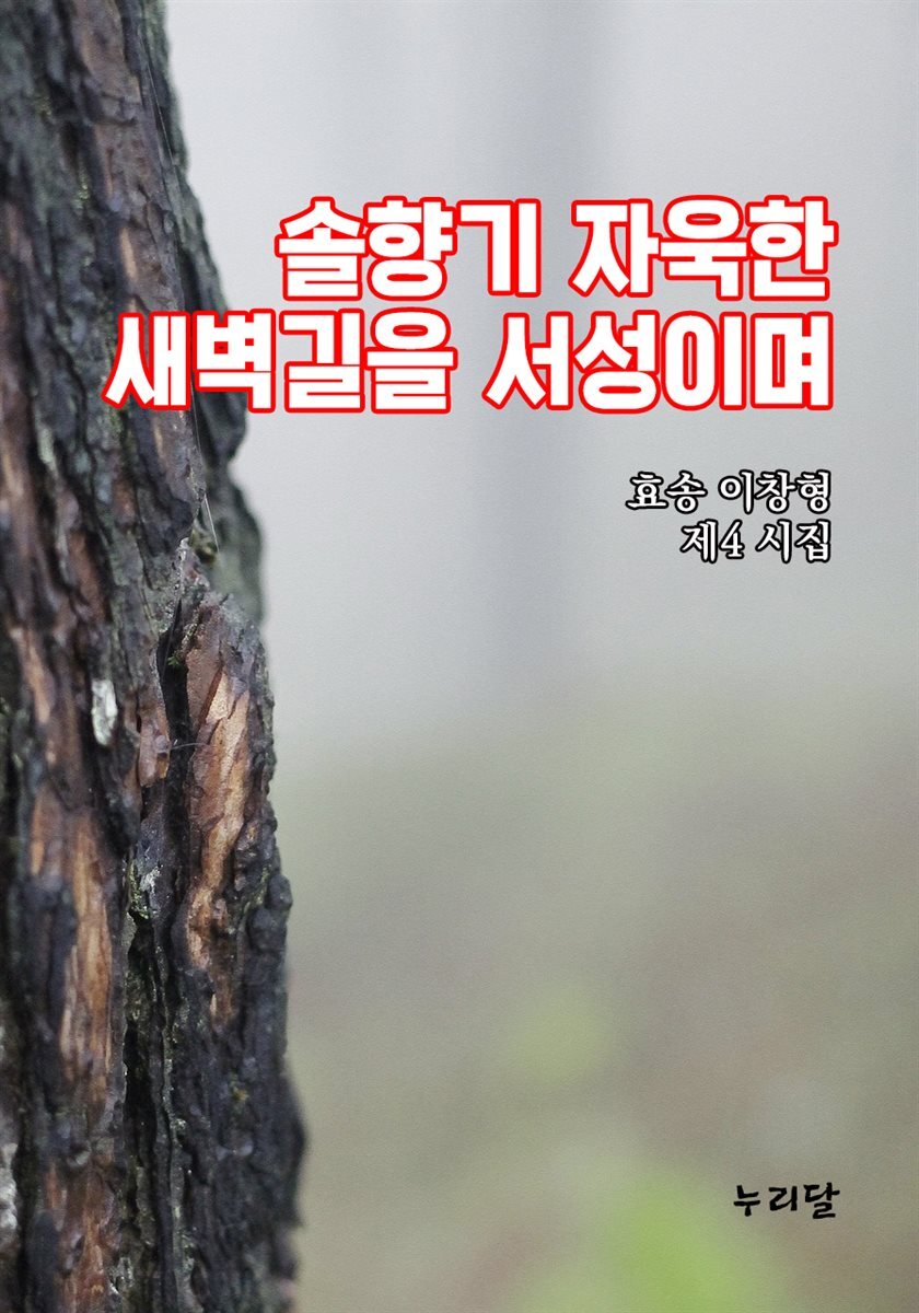 솔향기 자욱한 새벽길을 서성이며