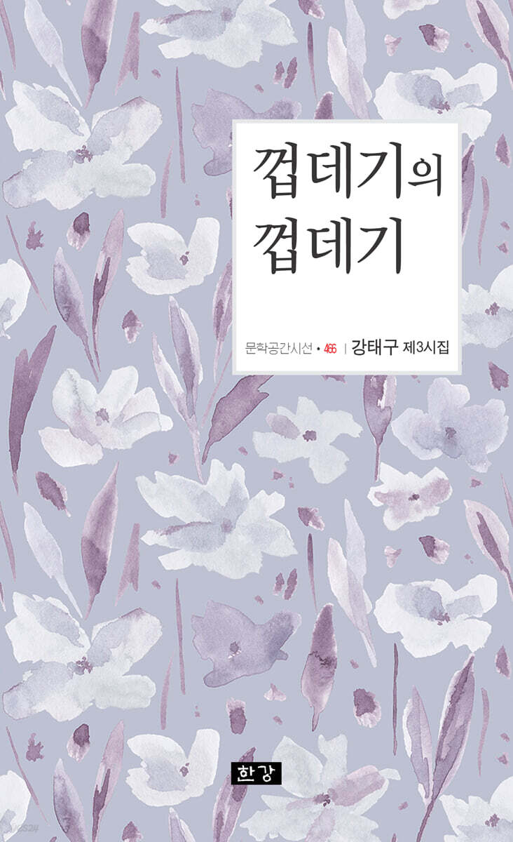 껍데기의 껍데기