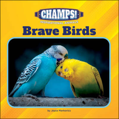 Brave Birds