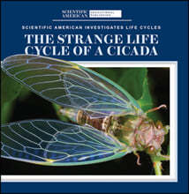The Strange Life Cycle of a Cicada