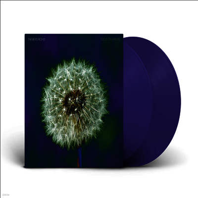 Bevis Frond — Focus On Nature 앨범 커버