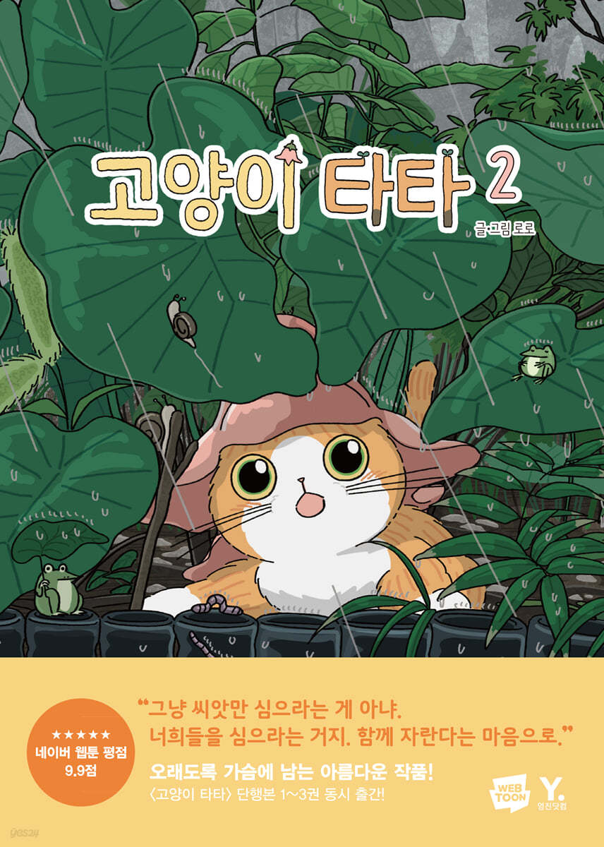 고양이 타타 2