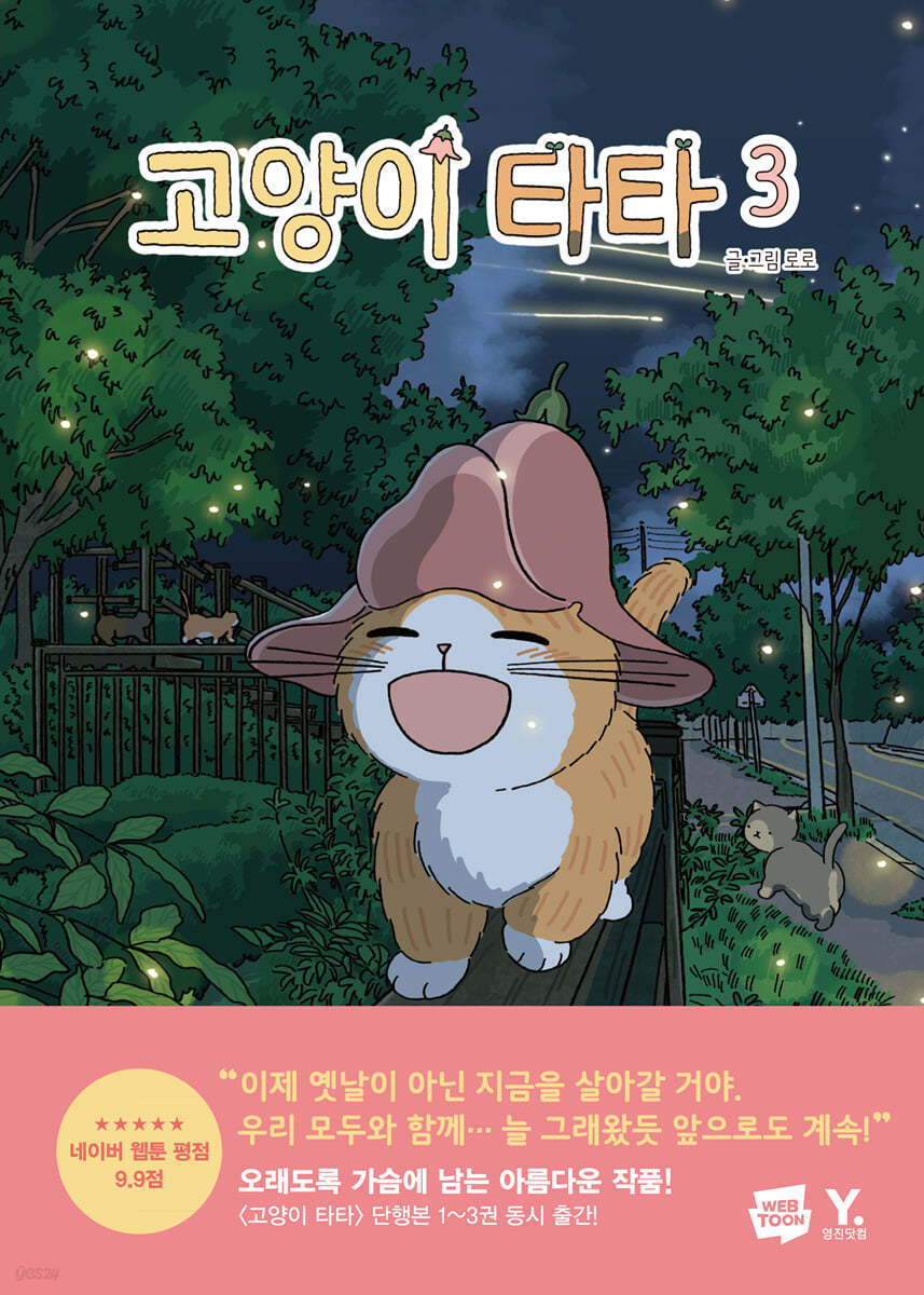 고양이 타타 3