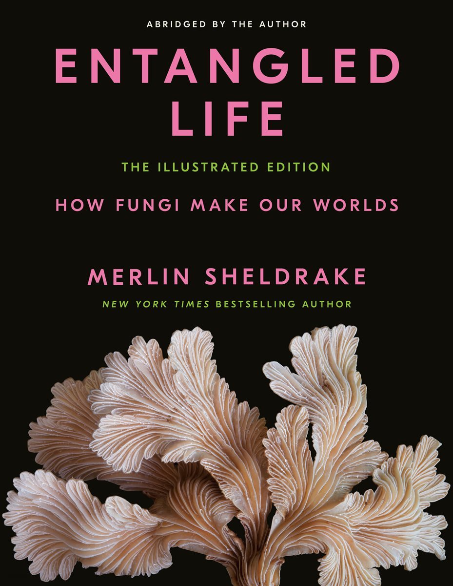 Entangled Life