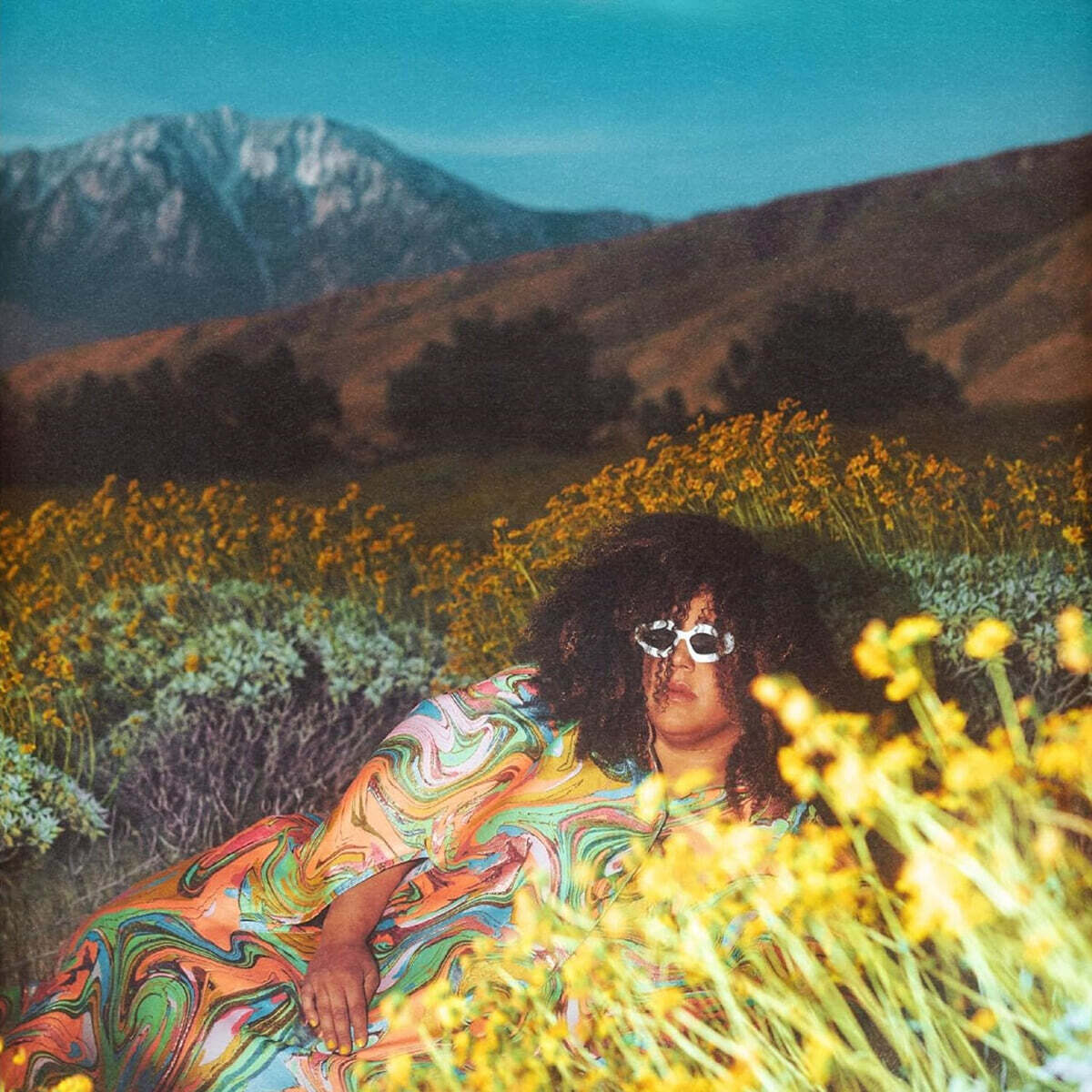 Brittany Howard (브리트니 하워드) - What Now [반투명 레모네이드 컬러 LP]