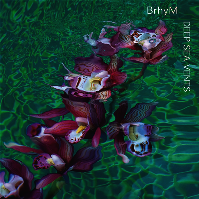 Brhym — Deep Sea Vents 앨범 커버