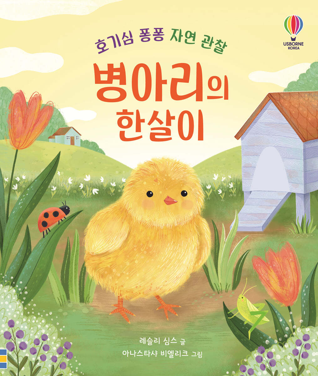 병아리의 한살이