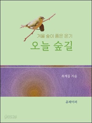 오늘 숲길