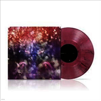 Maybeshewill — Fair Youth (10th Anniversary Edition)(Remix & Remaster) 앨범 커버
