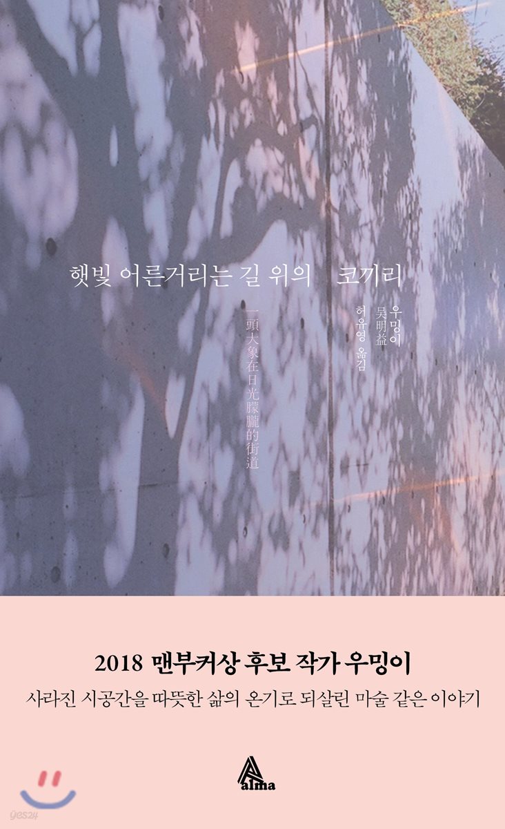 햇빛 어른거리는 길 위의 코끼리