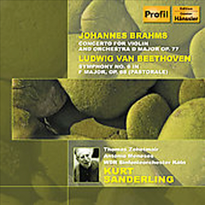 亥:  6 '', :  ְ, 亥: â ȯ (Ʈ ܴ 95  ) (Beethoven: Symphony No.6 Op.68 'Pastoral', Fantasia Op.80 'Choral Fantassy', Brahms: Double Concer