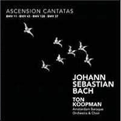  : õ ĭŸŸ - BWV 11, 43, 128 & 37 (Bach : Ascension Cantatas)(CD) - Ton Koopman