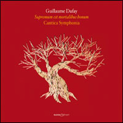   : Ʈ  2  (Guillaume Dufay : Motets 2)(CD) - Giuseppe Maletto