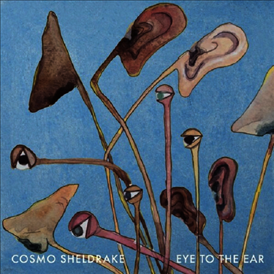 Cosmo Sheldrake — Eye To The Ear 앨범 커버