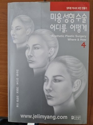 미용 성형 수술 어디를 어떻게 4