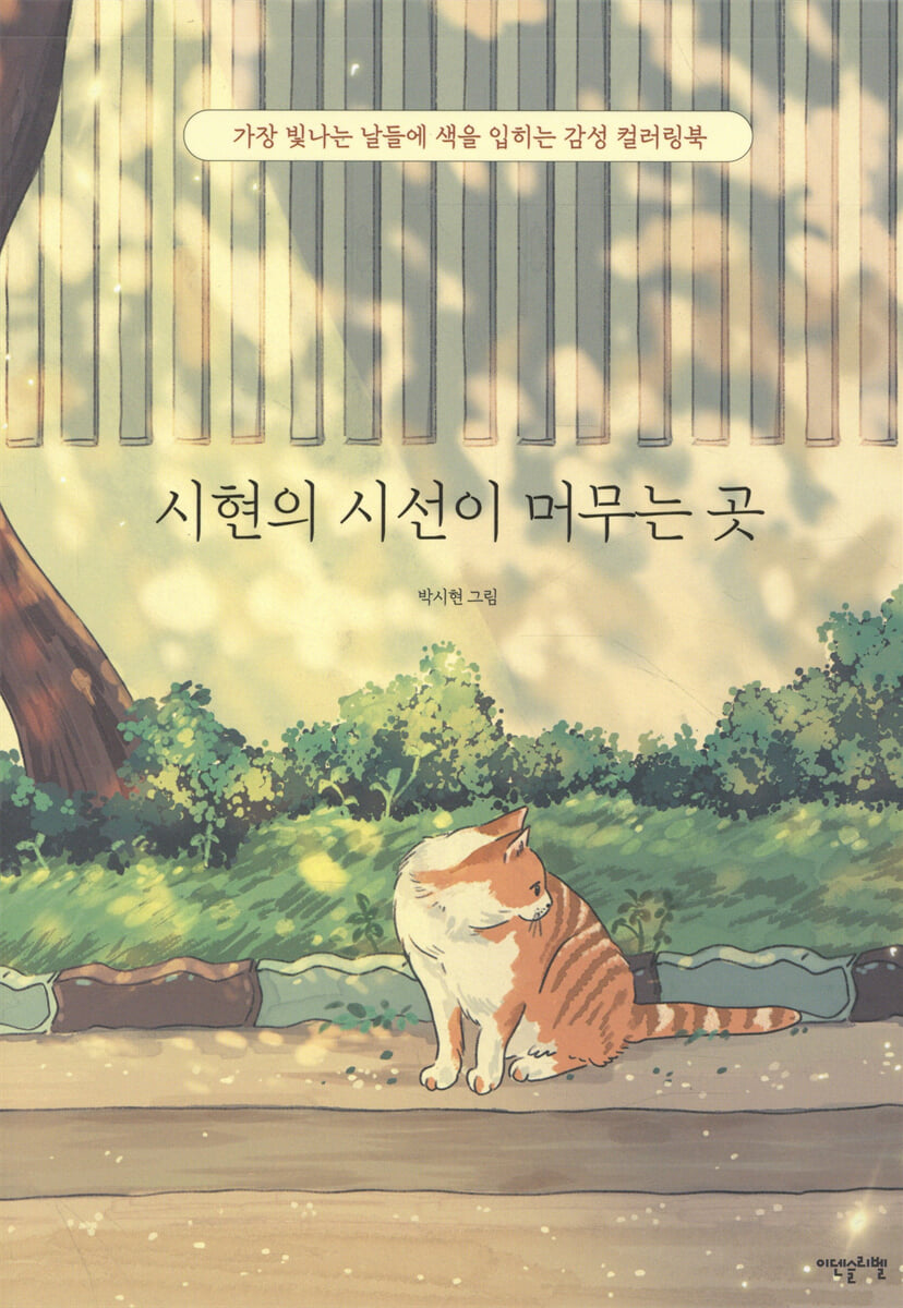 시현의 시선이 머무는 곳