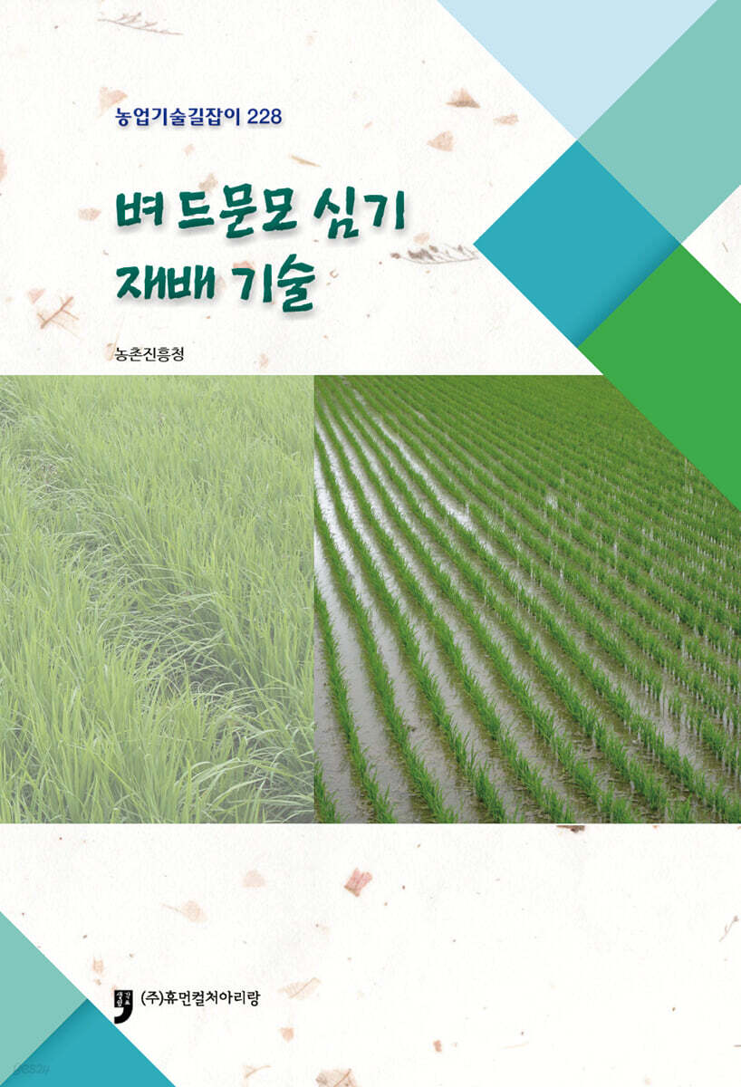 벼 드문모 심기 재배기술