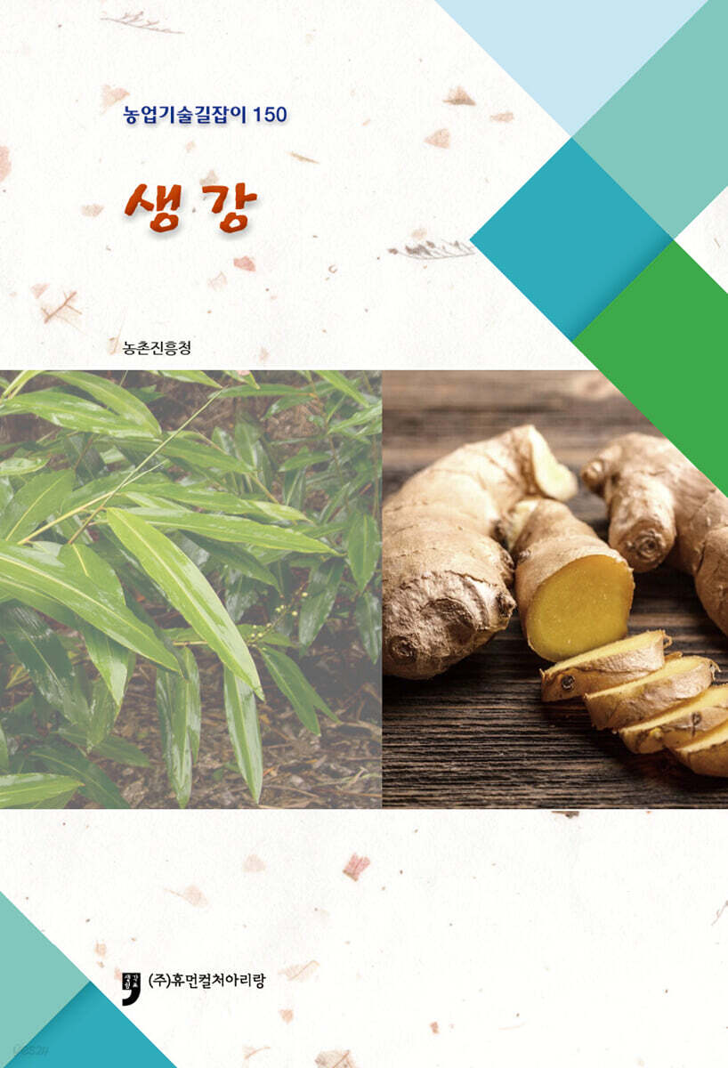 생강