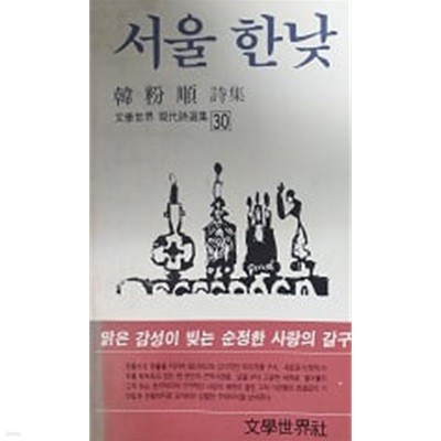 서울 한낮(문학세계현대시선집 30)