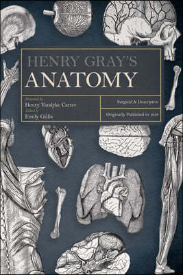 Henry Gray's Anatomy: Surgical and Descriptive