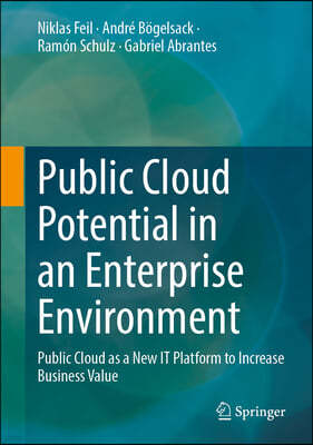 Public Cloud Potential in an Enterprise Environment: Public Cloud as a New It Platform to Increase Business Value
