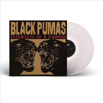 Black Pumas — Chronicles Of A Diamond 앨범 커버