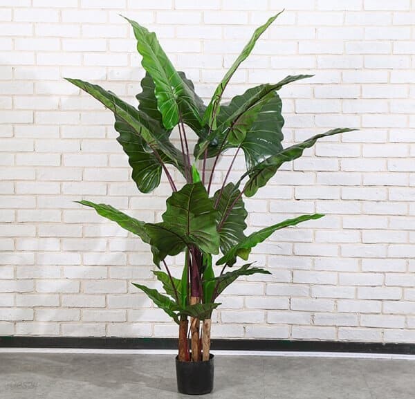 칼라테아나무 조화(170cm)