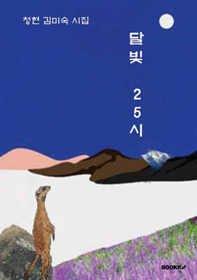 달빛 25시