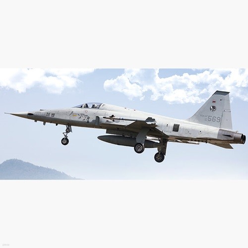[24] 1/48 F-5E ȣ