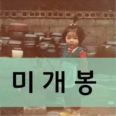 조율 Joyul - 보물선 (미개봉)