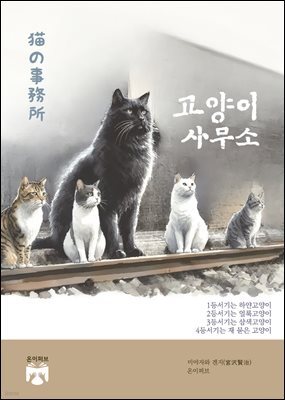 책 정보