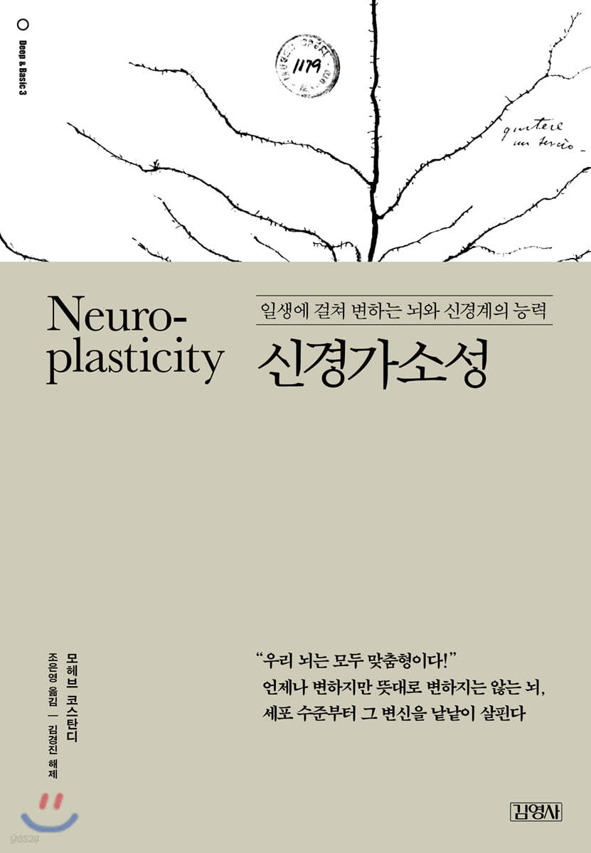 Neuroplasticity 신경가소성