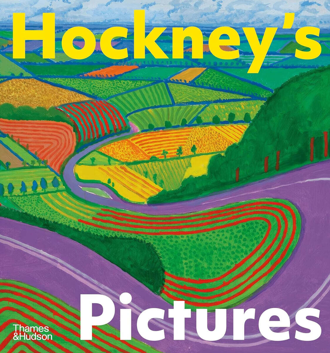 Hockney's Pictures