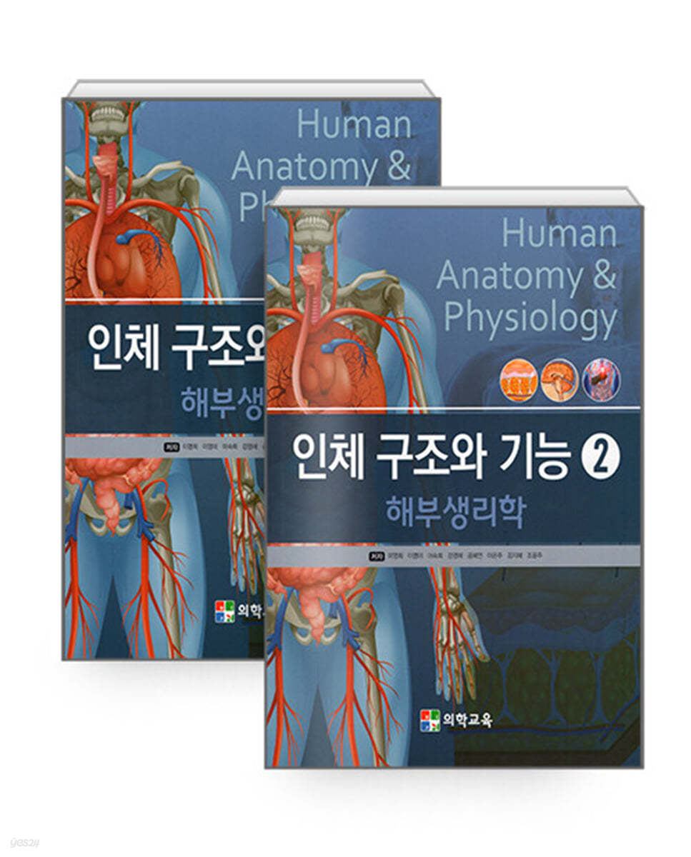 인체구조와 기능 해부생리학 세트