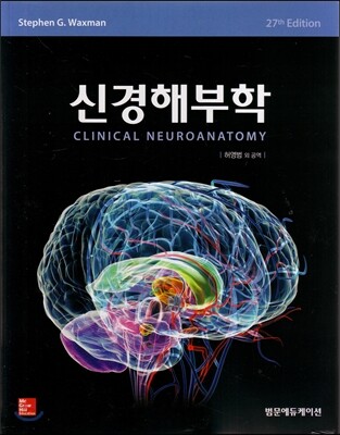 신경해부학