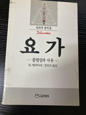 요가 불멸성과 자유 (뼌색)