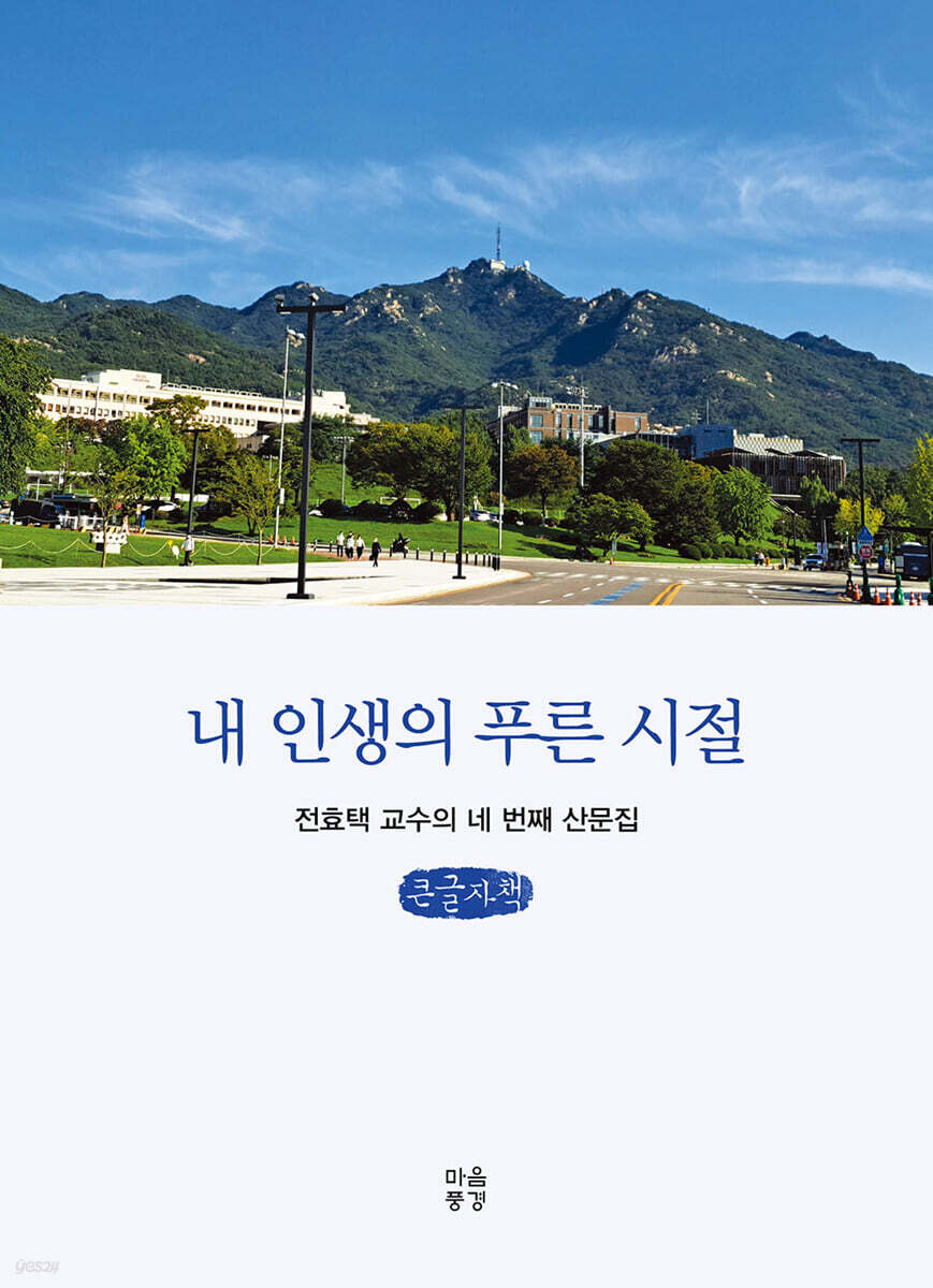 내 인생의 푸른 시절 (큰글자책)