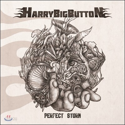 해리빅버튼 (HarryBigButton) - Perfect Storm