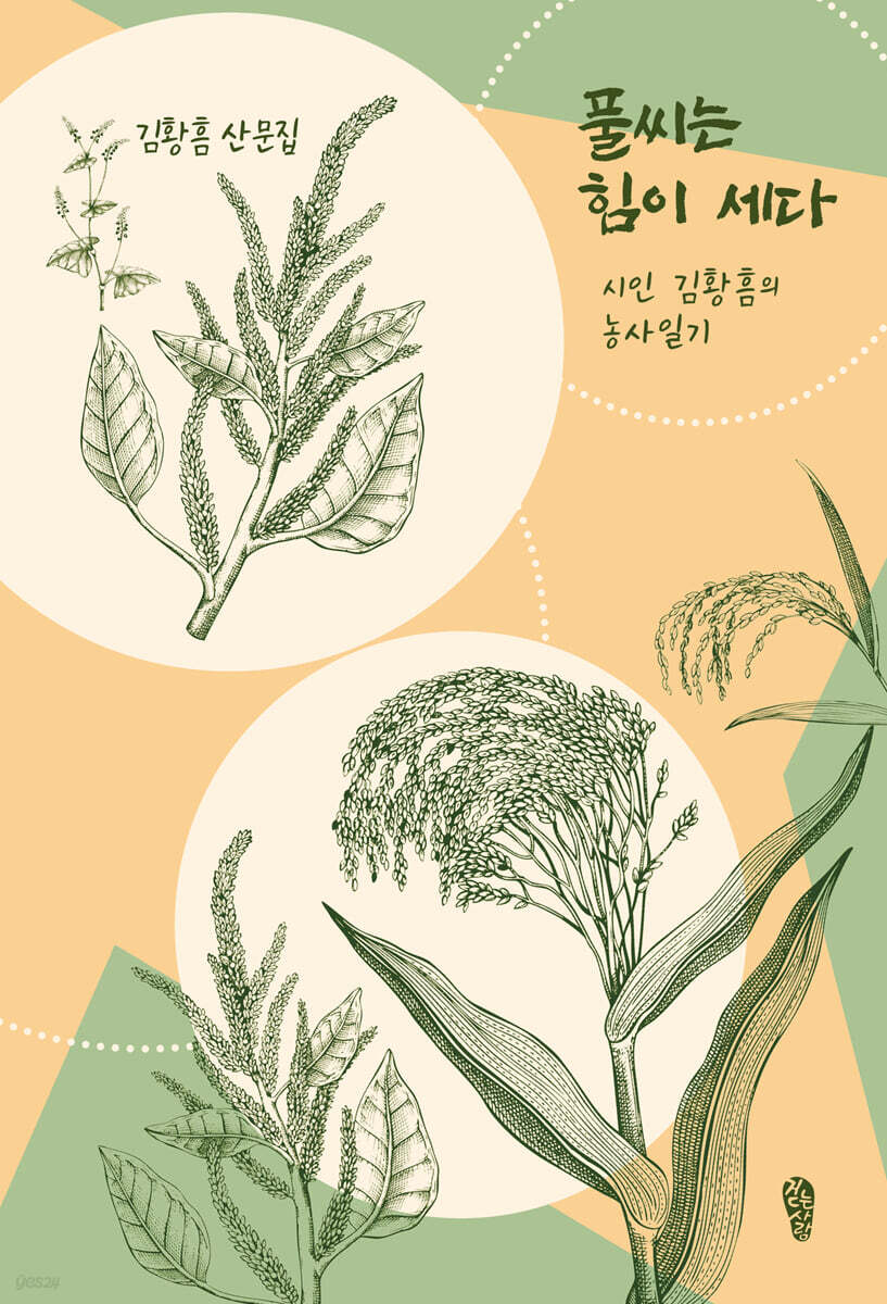 풀씨는 힘이 세다 (큰글자도서)