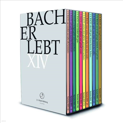 Bach Erlebt Xiii - Rudolf Lutz