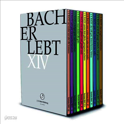 Bach Erlebt Xiii - Rudolf Lutz