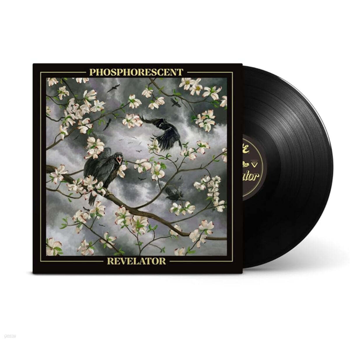Phosphorescent (포스포레슨트) - Revelator [LP]