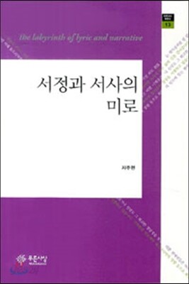 서정과 서사의 미로