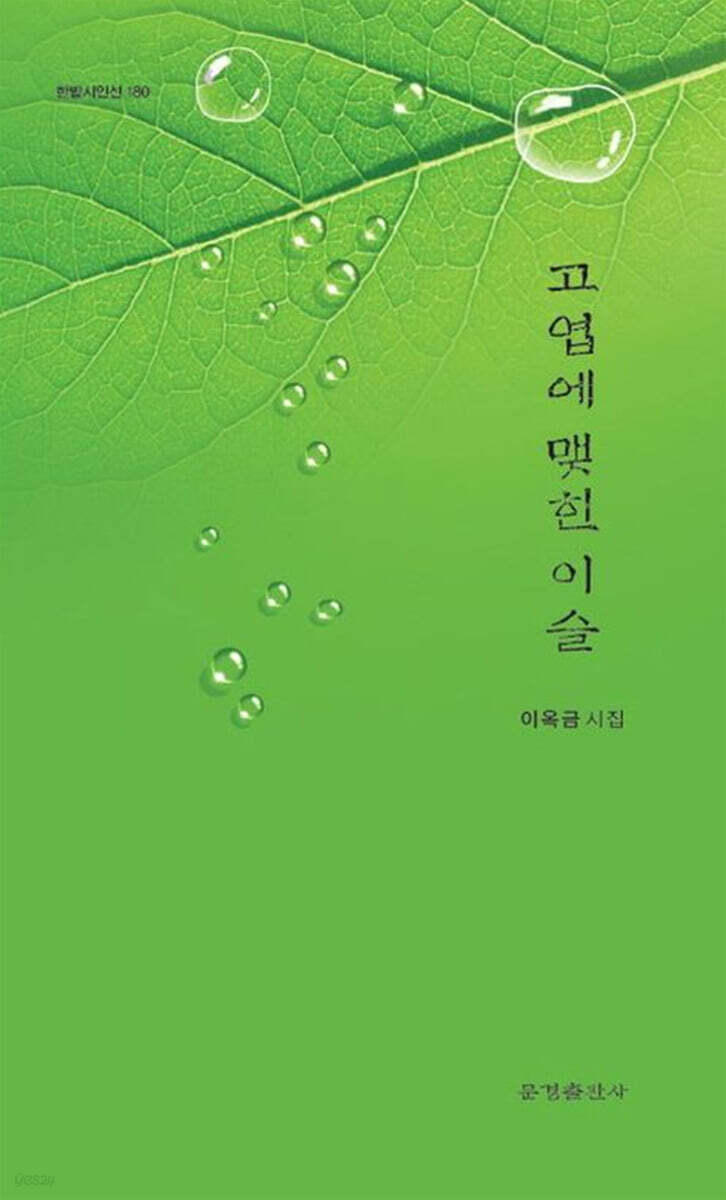 고엽에 맺힌 이슬