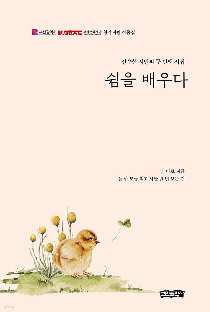 쉼을 배우다